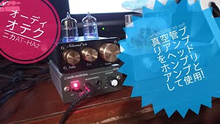 Nobsound NS10PMiniをオーディオテクニカATHA2ヘッドホンアンプで聴く🎧😆🐬 [upl. by Alim]