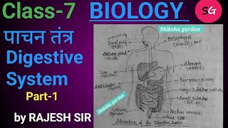 जीव विज्ञान BIOLOGYCH7 पाचन तंत्रDigestive System PART1 SSC RLY BSSC BPSC by Rajesh sir [upl. by Allisurd933]