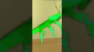 Rainbow Spinning Cockroach Nextbot Gmod [upl. by Aiyn]