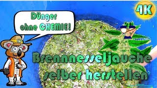 BRENNNESSELJAUCHE ansetzen 🌱 Biologischer Dünger für eure Pflanzen [upl. by Nosyla]