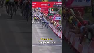 Van Aert vs Groves🔥 Stage 14 Sprint Duel Ends with Groves on Top shorts cycling [upl. by Uzzi]