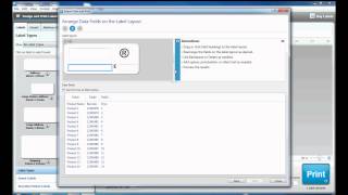 How to use the Import Data and Print function in DYMO Label Software [upl. by Aisatana]