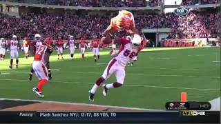 Jerome Simpson Front Flip Touchdown NFL [upl. by Jueta237]