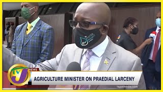 Agriculture Minister on Praedial Larceny  TVJ News [upl. by Gilman]