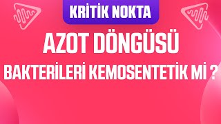 NİTRİFİKASYON VE DENİTRİFİKASYON BAKTERİLERİ KEMOSENTETİK Mİ [upl. by Emmet]