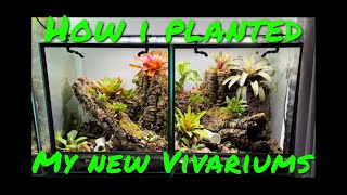 How I Planted my New Vivariums [upl. by Malone]