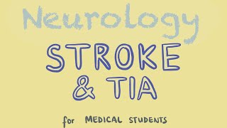 Stroke Diagnosis and Treatment  Acute and Long Term Treatment of Ischemic and Hemorrhagic Stroke [upl. by Turley]