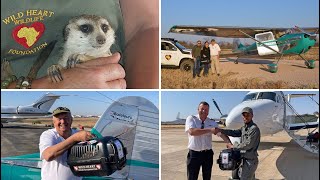 Flight back to the Kalahari for a rescued Meerkat [upl. by Ellevehc198]