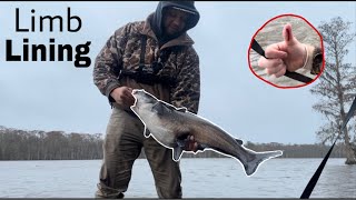 Limb Lining for Catfish on the Neuse River  Gone Wrong [upl. by Mersey]