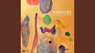 Miracles [upl. by Brottman]